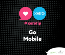 Xero Tip - Go Mobile