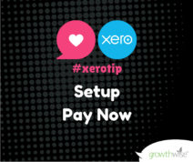 Xero Tip - Setup Pay Now