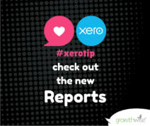 Xero Tip - Amazing New Reports