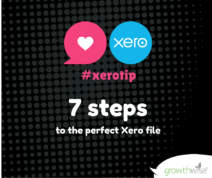 Xero Tip - 7 steps for a perfect Xero File