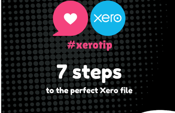 Xero Tip - 7 steps for a perfect Xero File